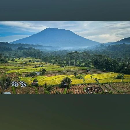 Lumbung Ayu Sari And Spa Сидемен Екстериор снимка
