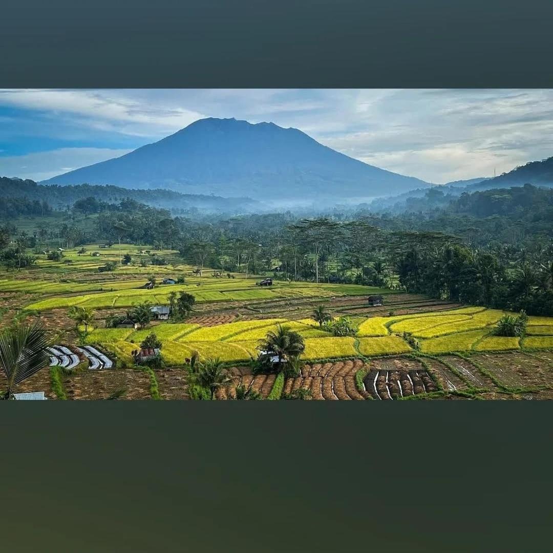 Lumbung Ayu Sari And Spa Сидемен Екстериор снимка